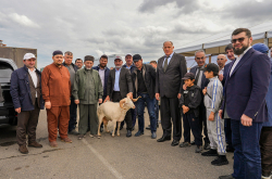 Шейх Ахмад Афанди посетил юбилейную выставку животноводства