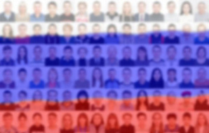 Основы государственной языковой политики
