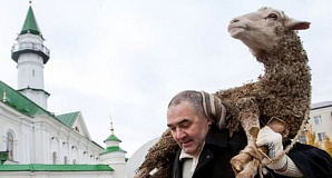 В Казахстане мусульманам предложили совершить ритуальное жертвоприношение онлайн