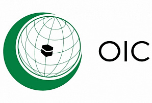 ОИС: Израиль должен предстать перед судом ООН за преступления против палестинцев