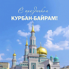Благотворительный фонд «Закят» рассказал о выполнении проекта для жителей Газы